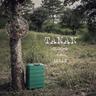 Tanan