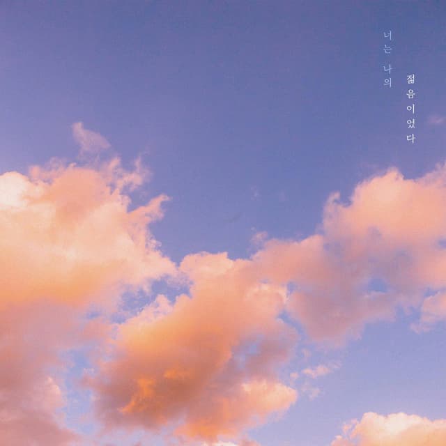 Album cover art for You were my youth