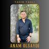 Anam Olsaydı (Anam Olsaydi)