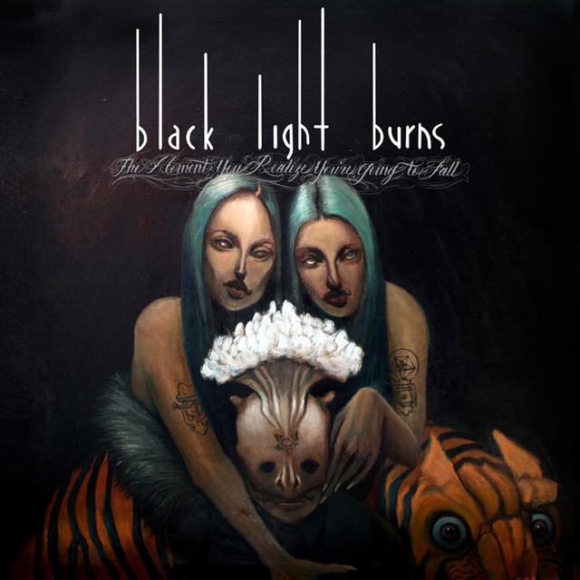 Album cover art for The Moment You Realize You're Going To Fall