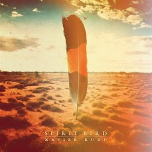 Album cover art for Spirit Bird