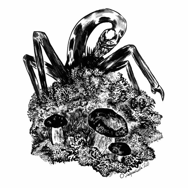 Album cover art for ПАУКО-ЗМЕЯ/Подполковник Молния