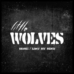 Album cover art for Home / Lost My Mind