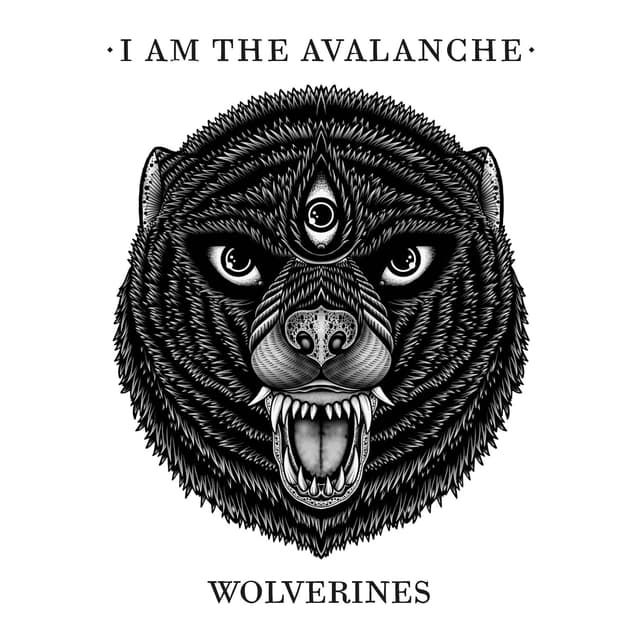 Album cover art for Wolverines