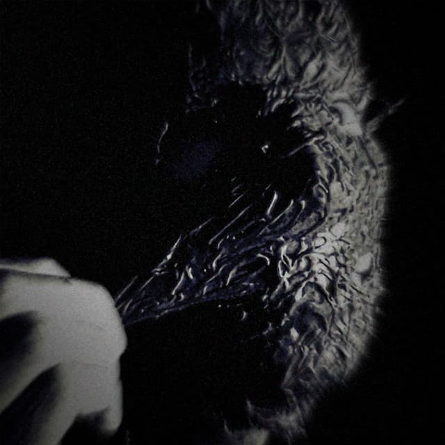 Album cover art for Не напиться молоком