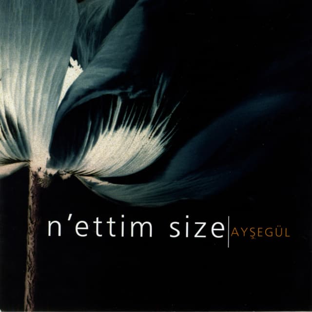 Album cover art for N'ettim Size