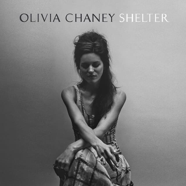 Album cover art for Shelter