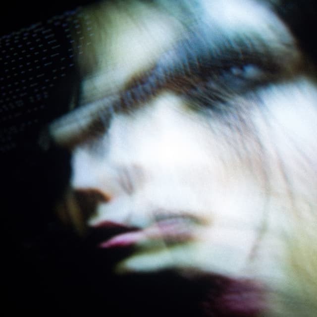 Album cover art for Adaptive Taste