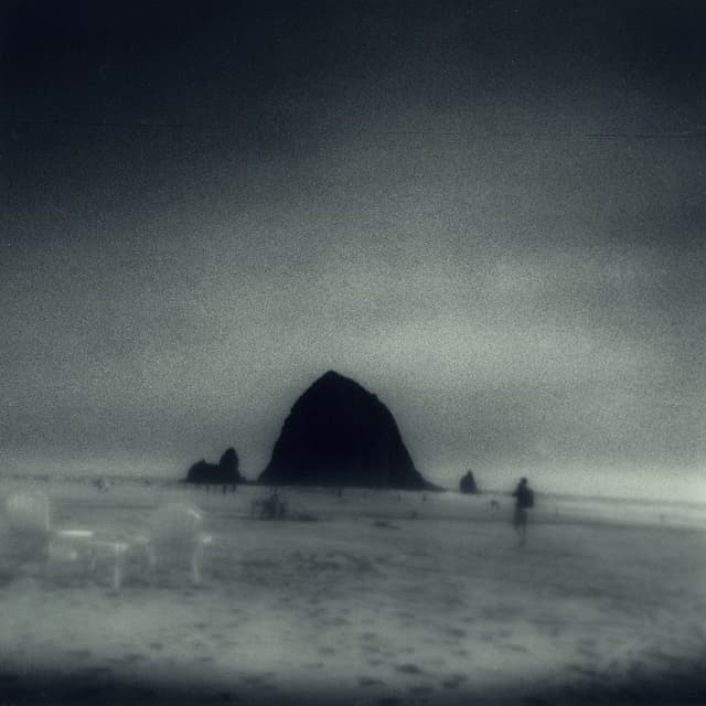 Album cover art for Wane Into It