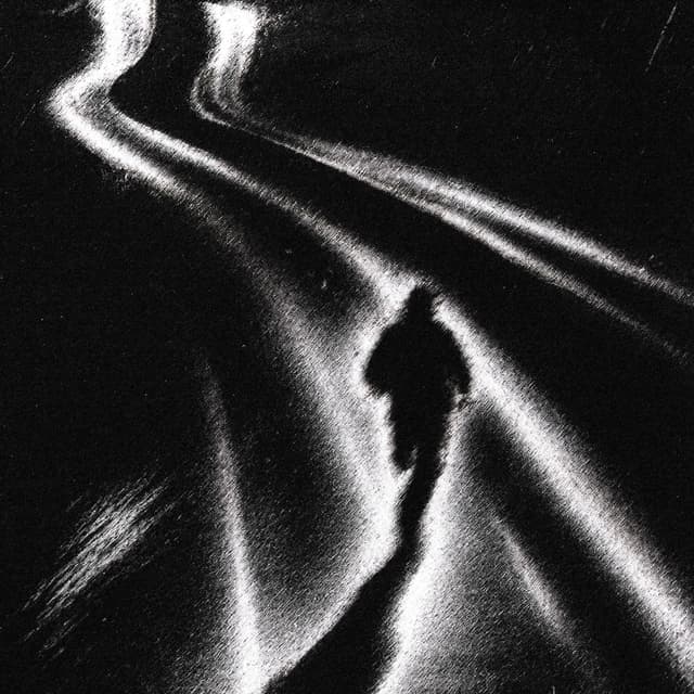 Album cover art for Den lange vej