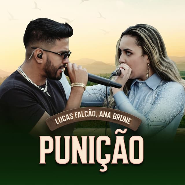 Album cover art for Punição