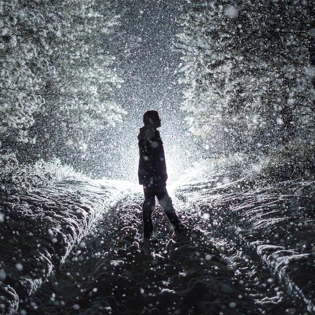 Album cover art for Willfully Blind