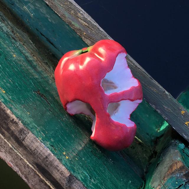 Album cover art for Os Amantes