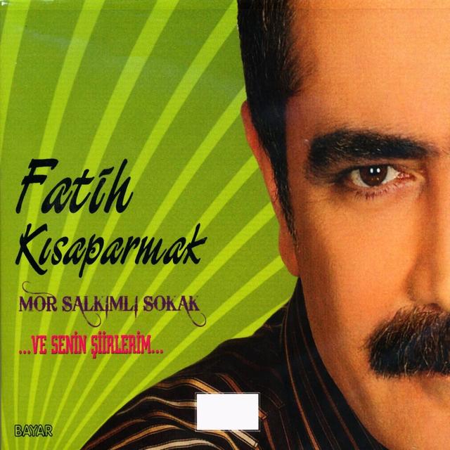 Album cover art for Mor Salkımlı Sokak, Vol. 1 (...Ve Senin Şiirlerim...)