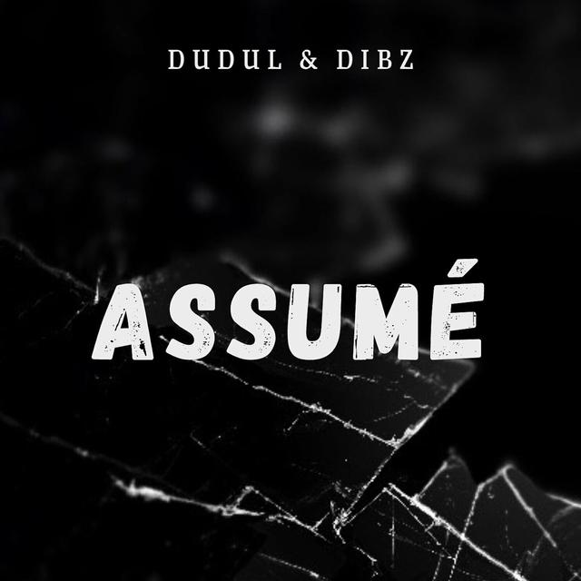 Album cover art for Assumé