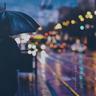 비오는 압구정 Rainy Apgujeong (Rainy Apgujeong)