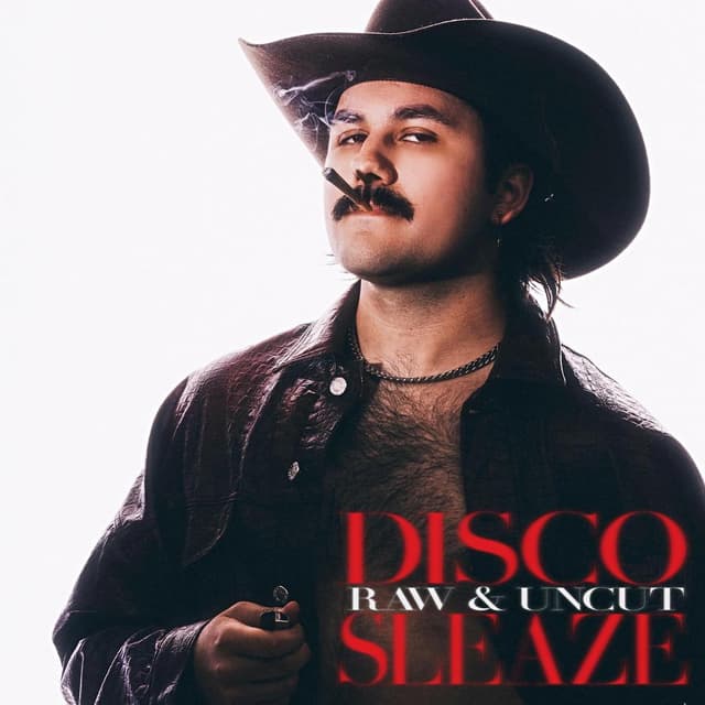 Album cover art for DISCO SLEAZE (RAW & UNCUT) (Explicit Ver.)