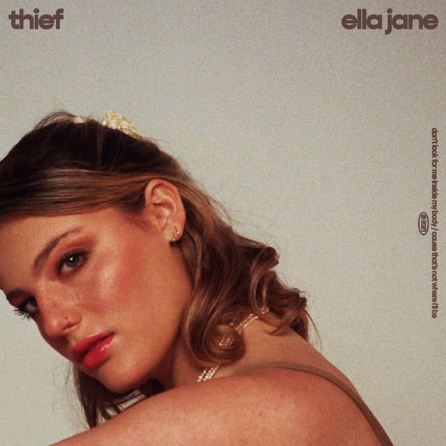 Album cover art for Thief