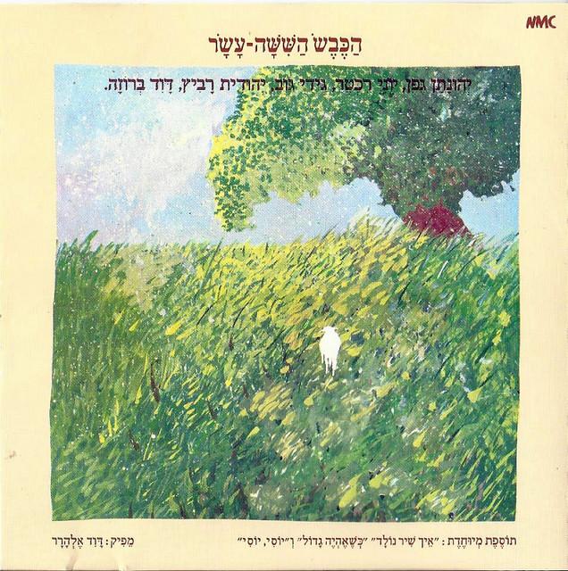 Album cover art for הכבש הששה-עשר The Sixteenth Lamb