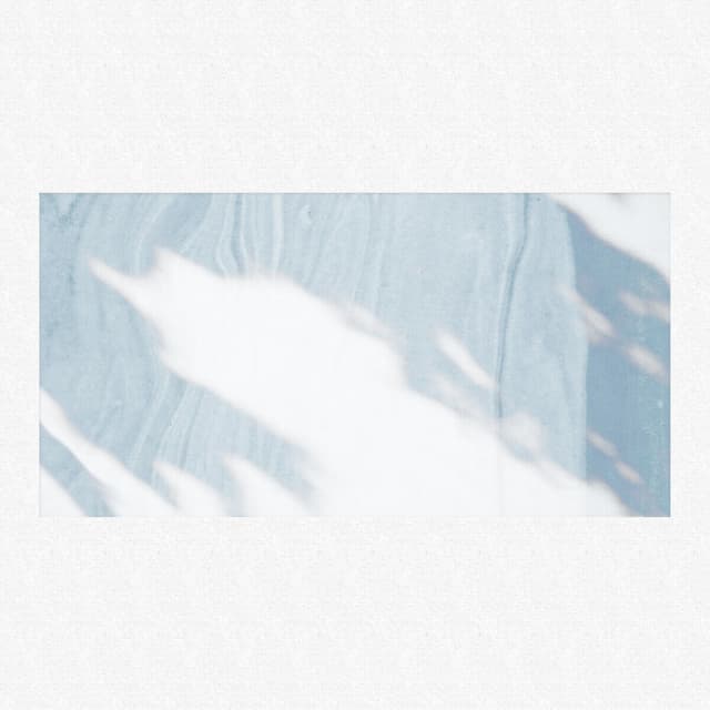 Album cover art for Leaves
