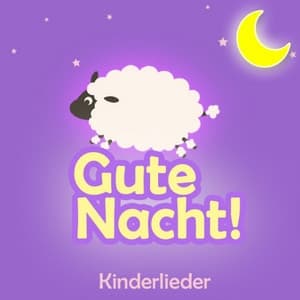 Album cover art for Gute Nacht (Schlaflieder, Babylieder Und Kinder Lieder Zum Mitsingen Und Einschlafen Als Kindermusik Auf Dem Klavier Und Piano)