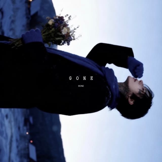 Album cover art for GONE