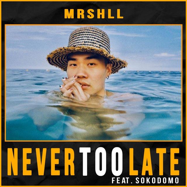 Album cover art for Never Too Late