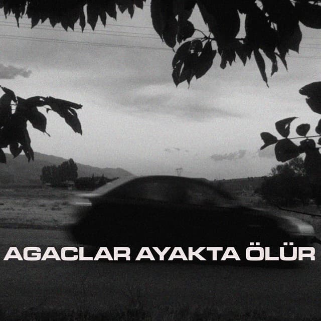 Album cover art for AĞAÇLAR AYAKTA ÖLÜR