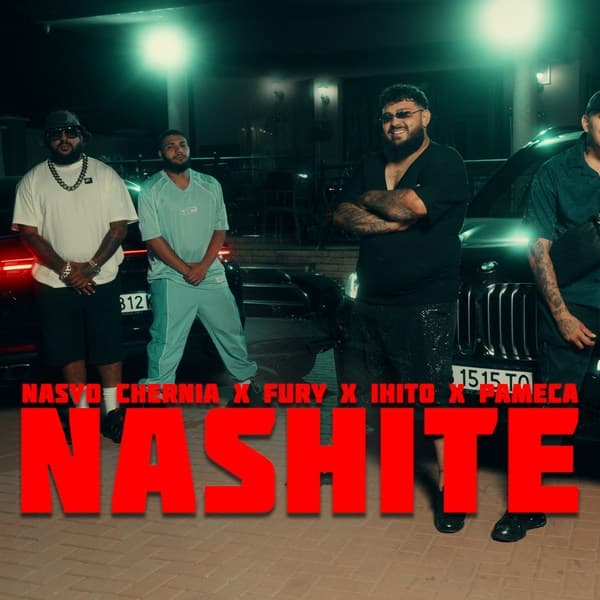 Album cover art for NASHITE