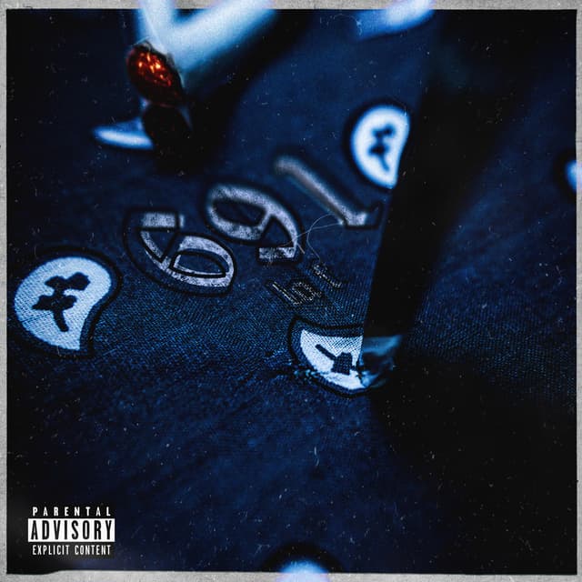 Album cover art for 691