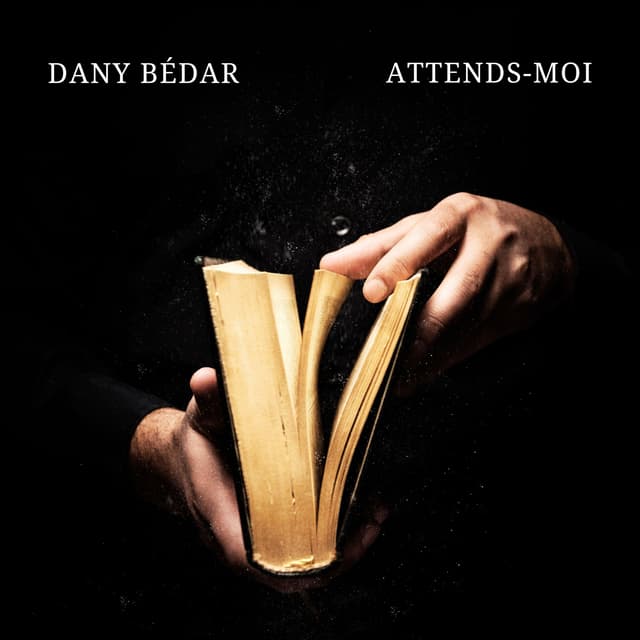 Album cover art for Attends-moi