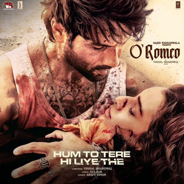 Album cover art for Hum To Tere Hi Liye The (From "O' Romeo")