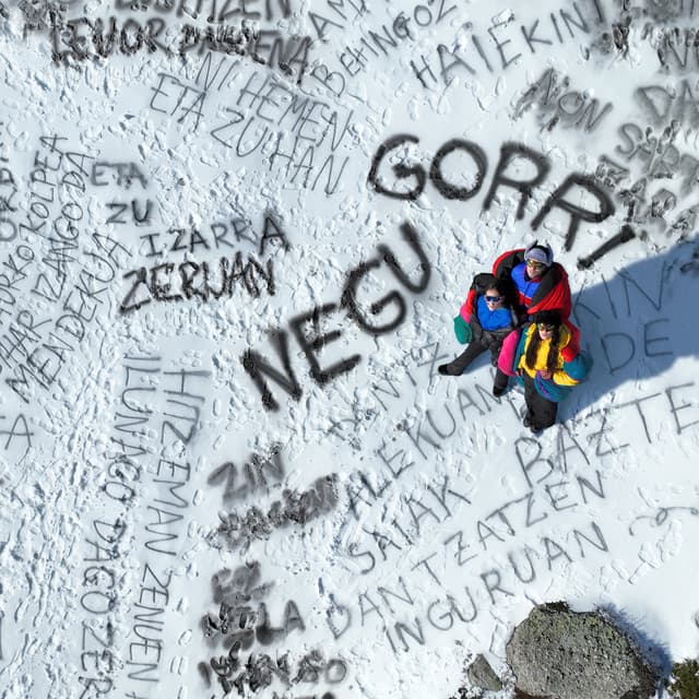 Album cover art for Negu Gorri
