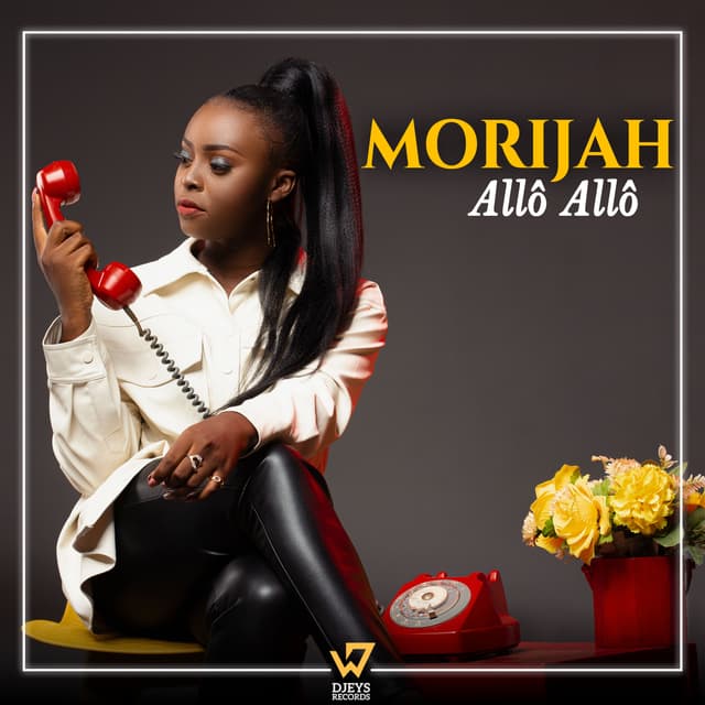 Album cover art for Allô Allô
