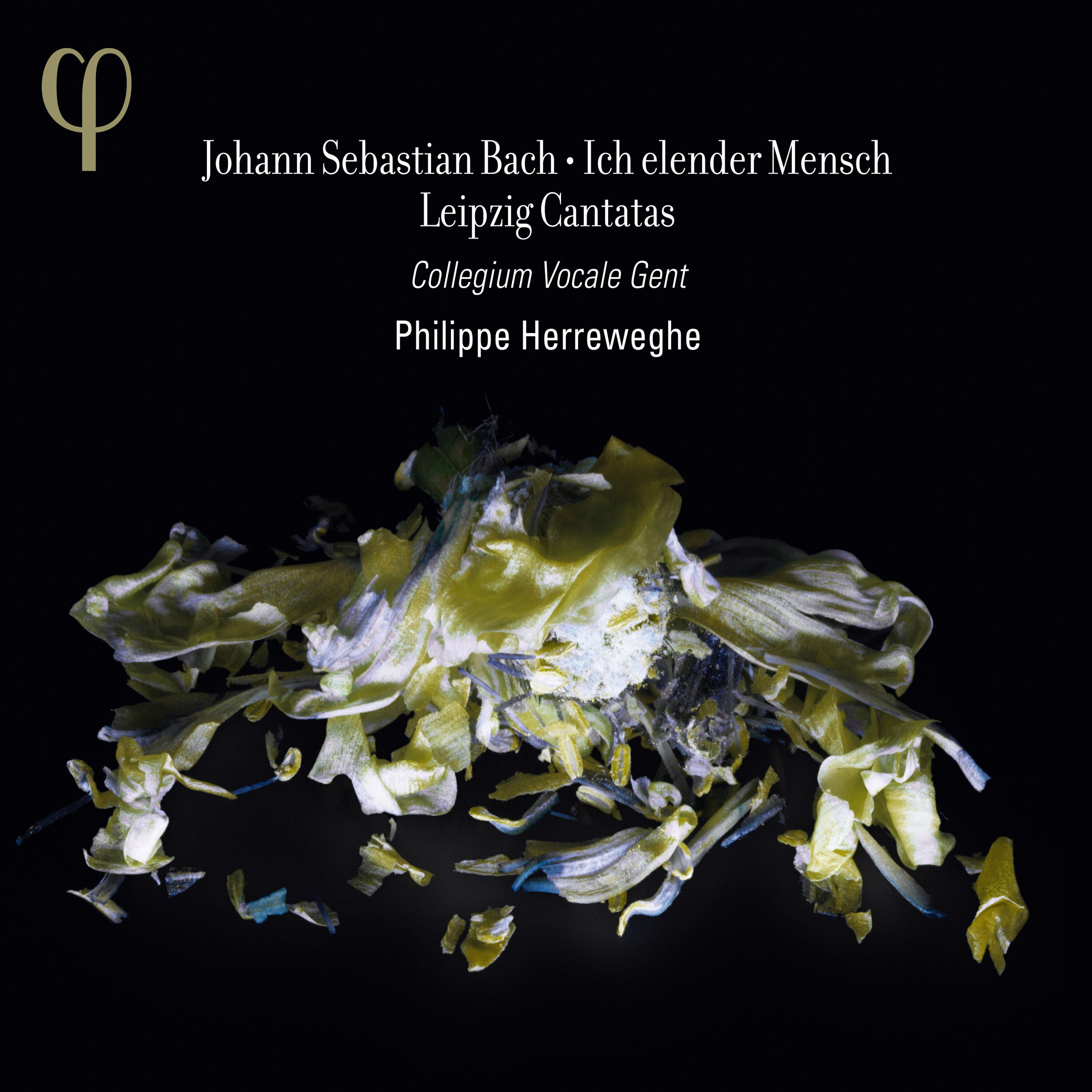 Bach : Leipzig Cantatas