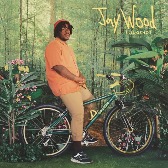 Album cover art for Slingshot