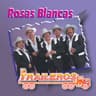 Rosas Blancas