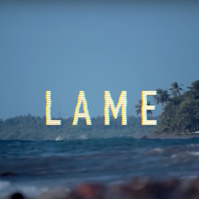 Album cover art for Lame