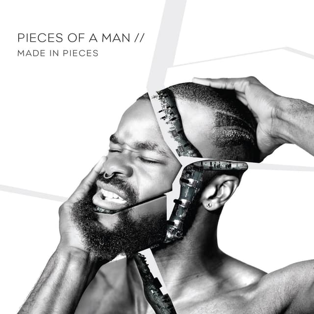 Album cover art for Made in Pieces