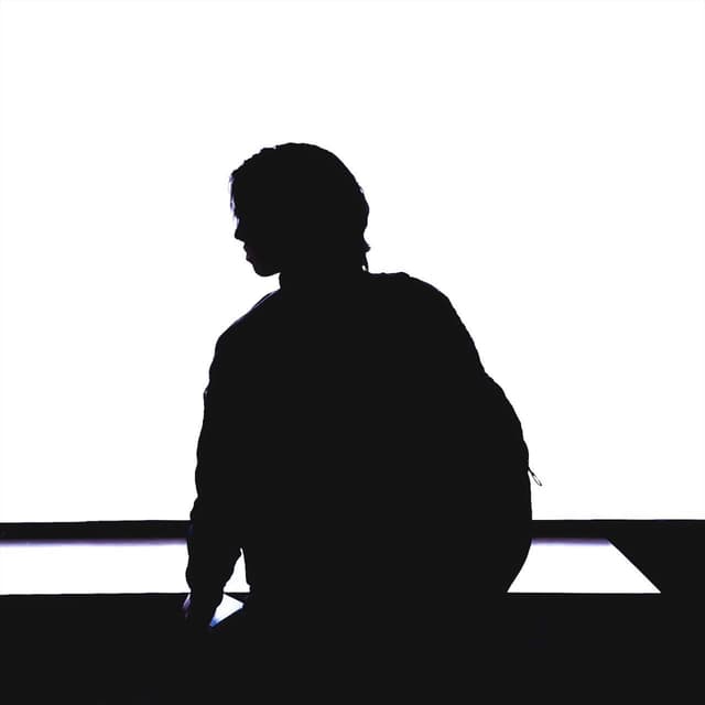Album cover art for Idea 2