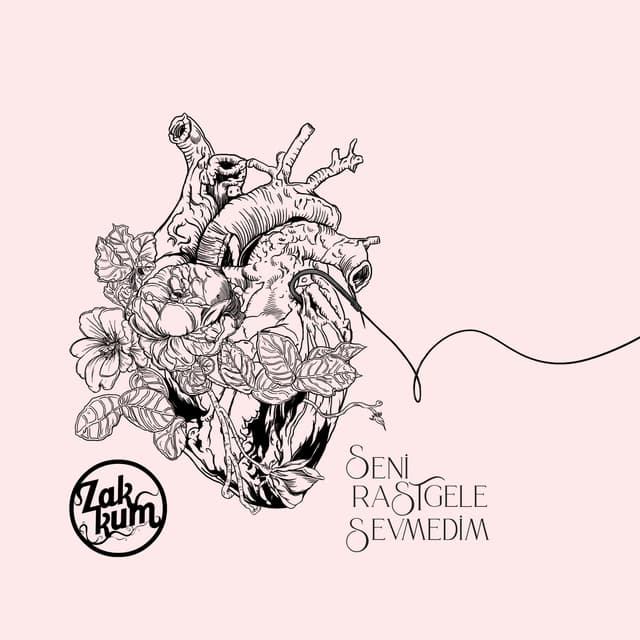 Album cover art for Seni Rastgele Sevmedim