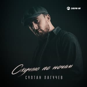Album cover art for Скучаю по ночам