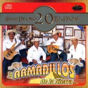Album cover art for Serie de oro: 20 éxitos