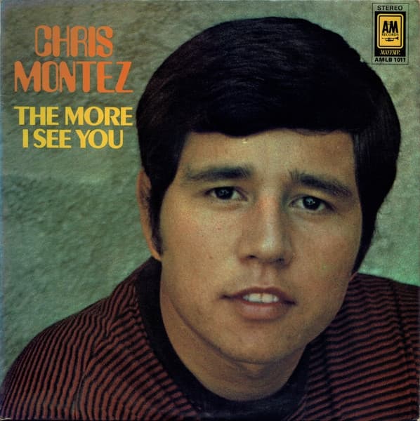 Album cover art for The More I See You