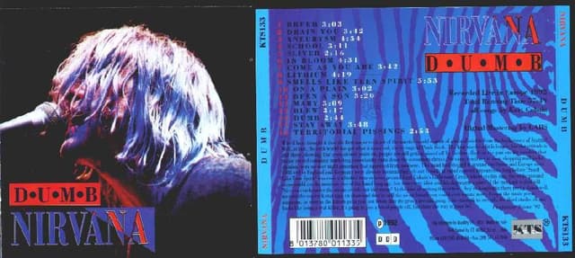 Album cover art for Dumb