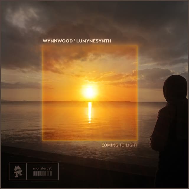 Album cover art for Coming to Light