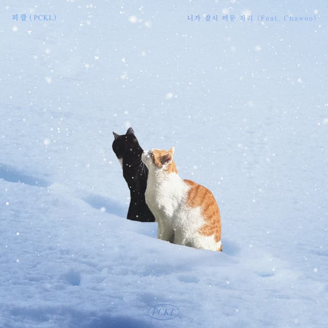 Album cover art for A Mark of Winter