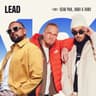 Lead