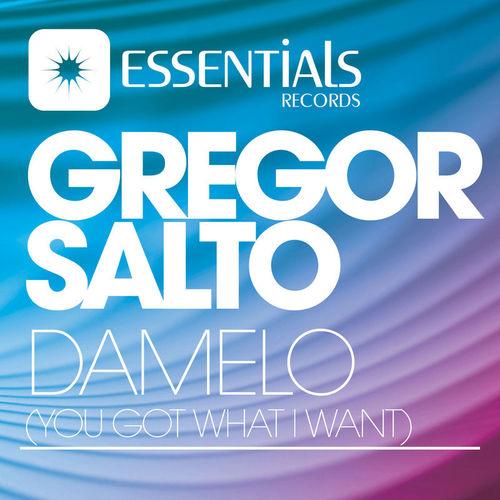 Album cover art for Damelo (You Got What I Want)