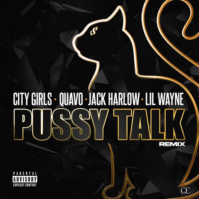 Album cover art for Pussy Talk